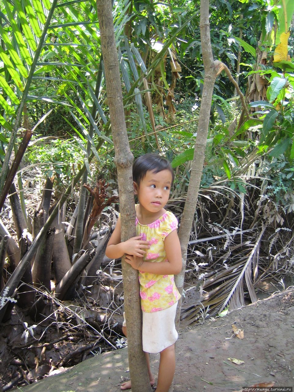 Дельта реки  Меконг. Вьетнамская девочка Дельта реки Меконг, Вьетнам