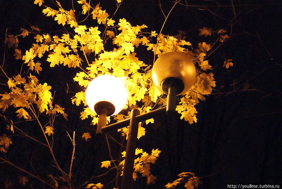 Ночь. Улица. Фонарь Москва и Московская область, Россия