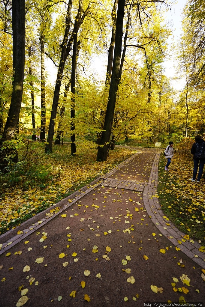 Несколько часов в парке Царицыно. Москва (город - регион), Россия