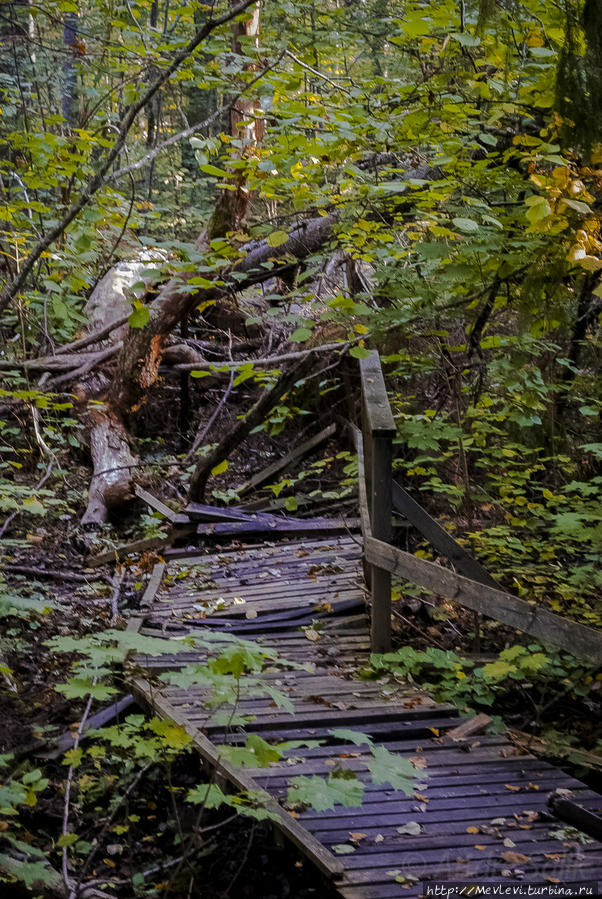 Тропа не для слабых Кемери, Латвия