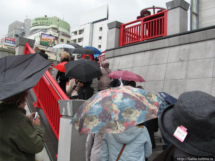 У туристов нет плохой погоды. Япония