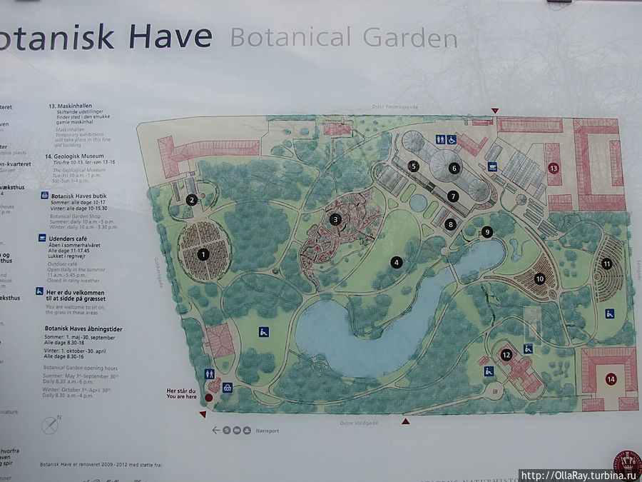 Сад разделён на несколько зон: датские растения (600 видов), многолетние растения (1100 видов), однолетние растения (1100 видов), растения из горных районов Центральной и Южной Европы, хвойные и рододендроны. Всего насчитывается более 13 тысяч видов.