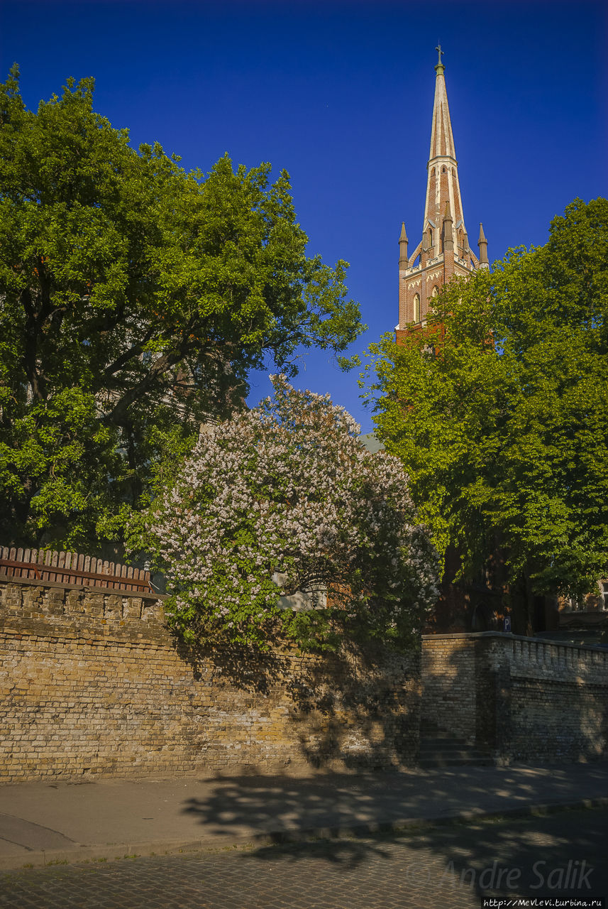 «Ночь церквей». Рига, Латвия