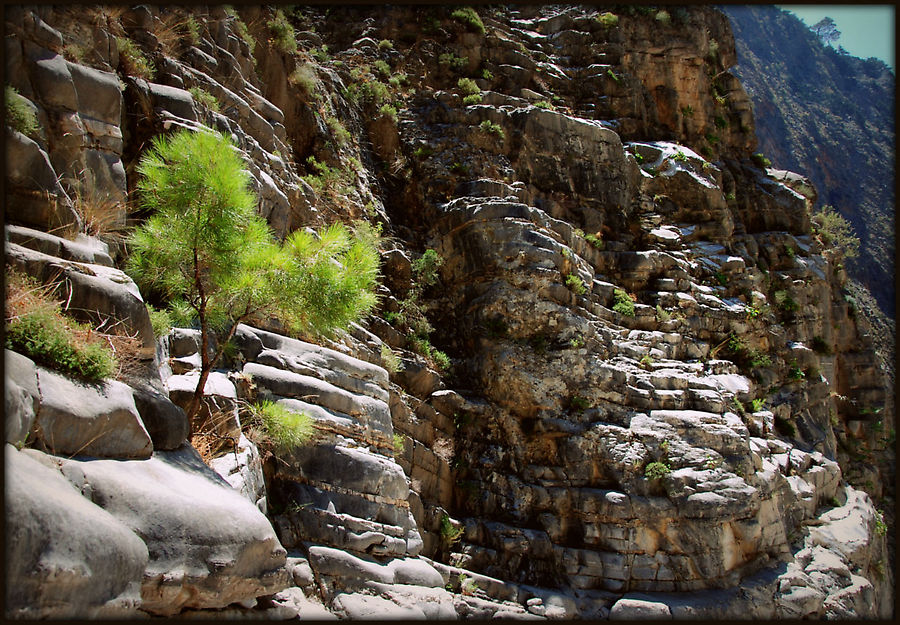 Крупнейшее ущелье Европы — 50-летний юбилей Национальный парк Самария, Греция