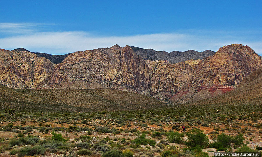 Долина Смерти. Путь из Вегаса — горы и деревья Джошуа Штат Невада, CША