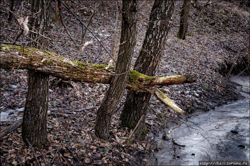 Живая река Россия