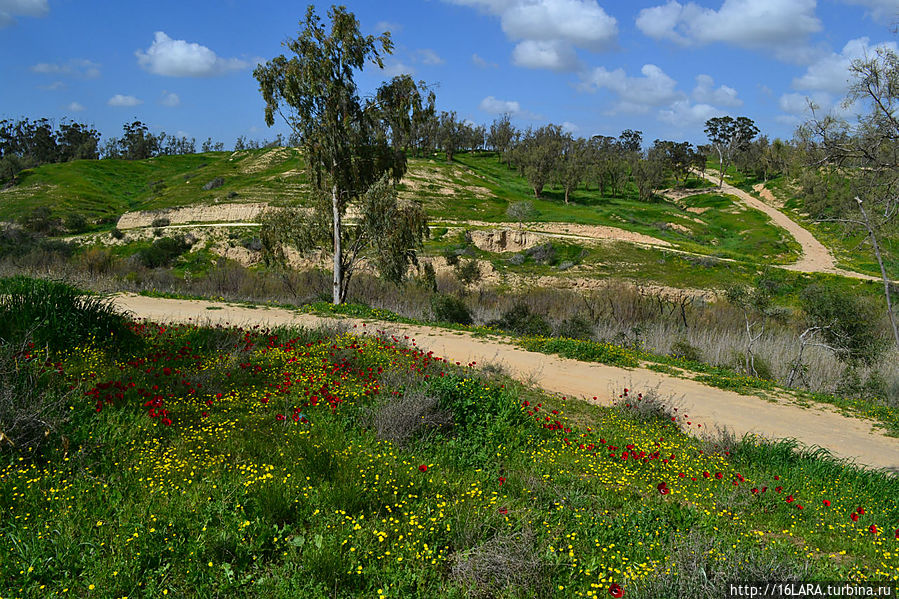 Там внизу в камышах есть вода, ее пока не видно.