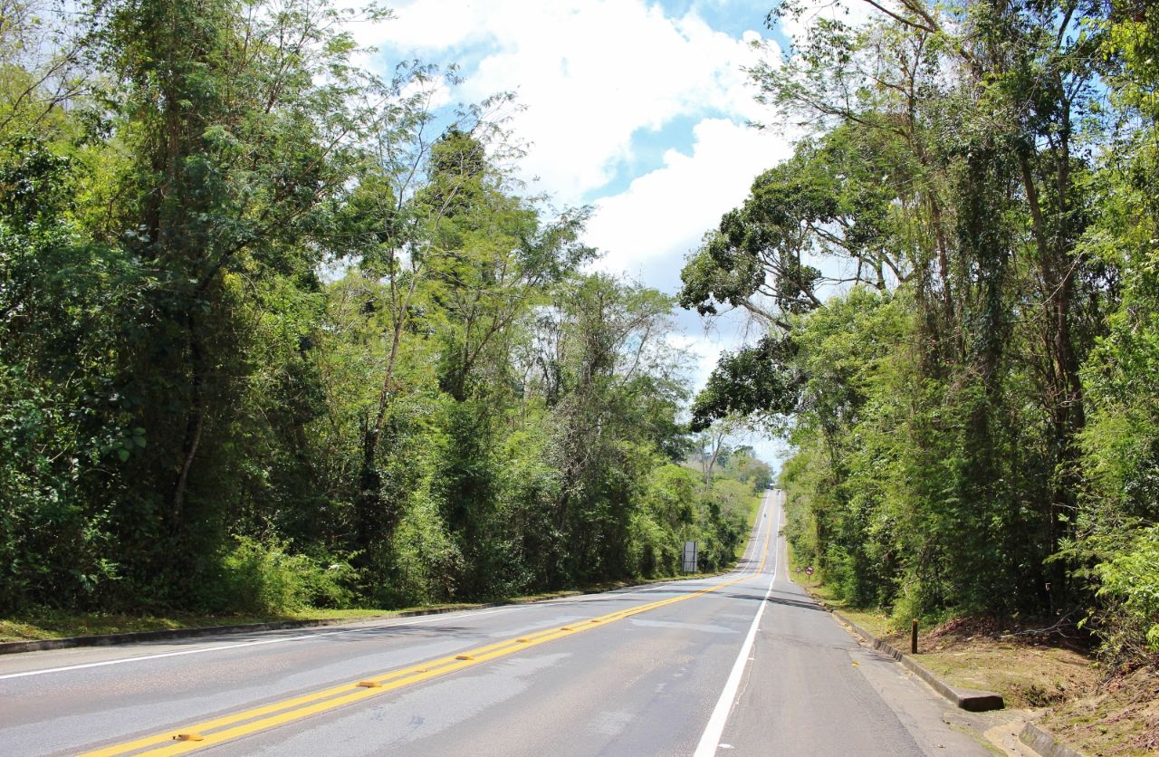 Участок шоссе BR-101 в восточном секторе Сооретама биосферный лесной резерват, Бразилия