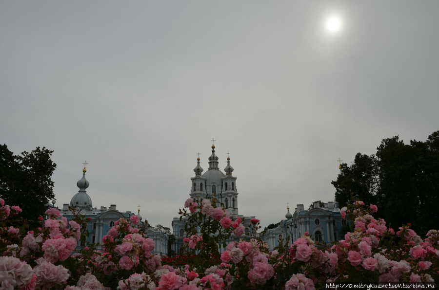 Санкт-Петербург... Храмы... Санкт-Петербург, Россия