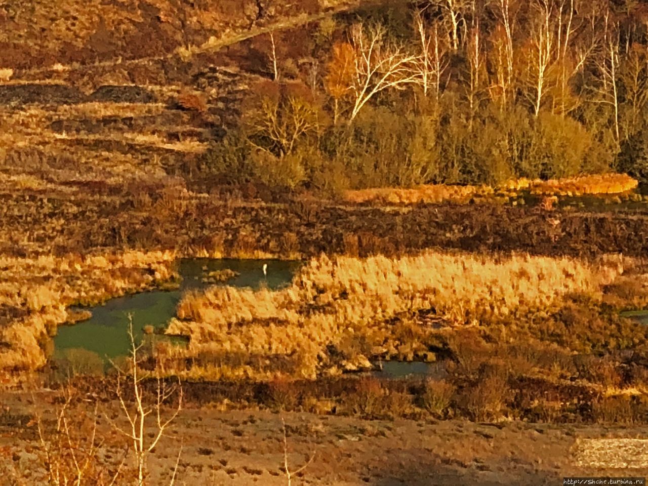 Карьер окаменелостей Мессель (музей) Мессель, Германия