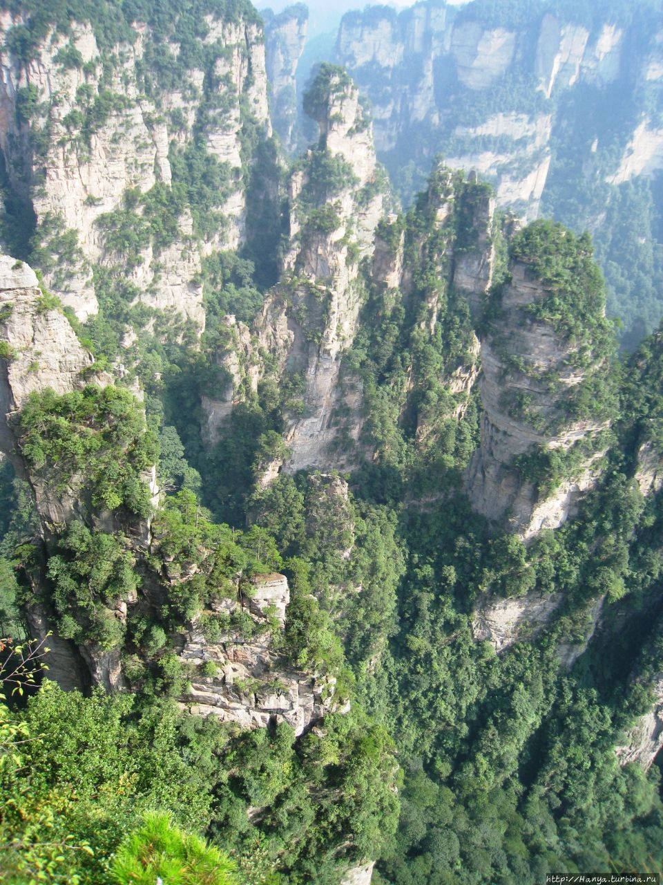 Гора Аватар Аллилуйя Чжанцзяцзе Национальный Лесной Парк (Парк Аватар), Китай