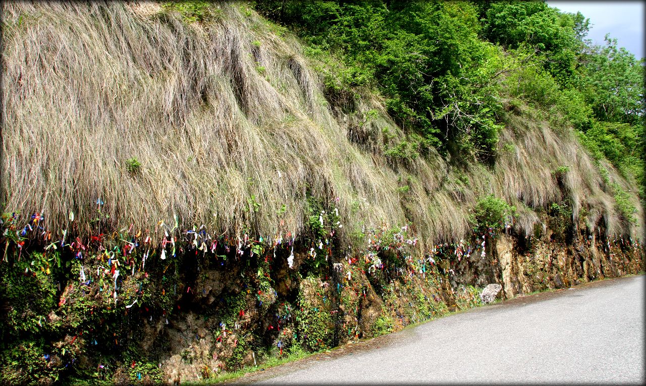 Живописная дорога к озеру Рица Рица Реликтовый Национальный Парк, Абхазия
