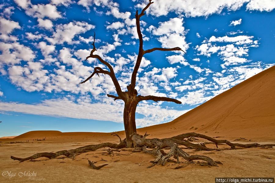 Знаменитая Мертвая долина (Deadvlei)