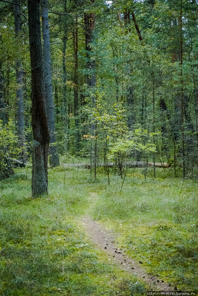 Остров Буллю Рига, Латвия