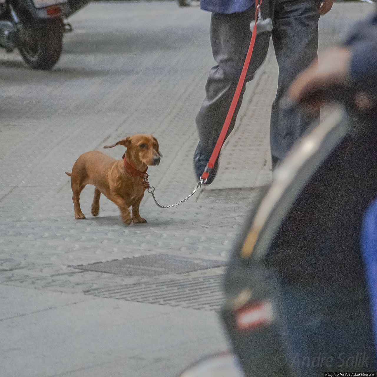 Май в Барселоне Барселона, Испания