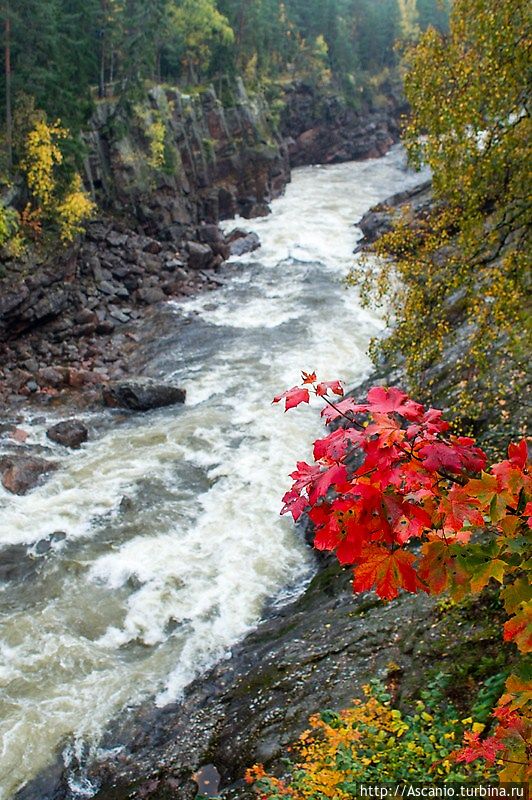 Пешком по осенней Иматре Иматра, Финляндия