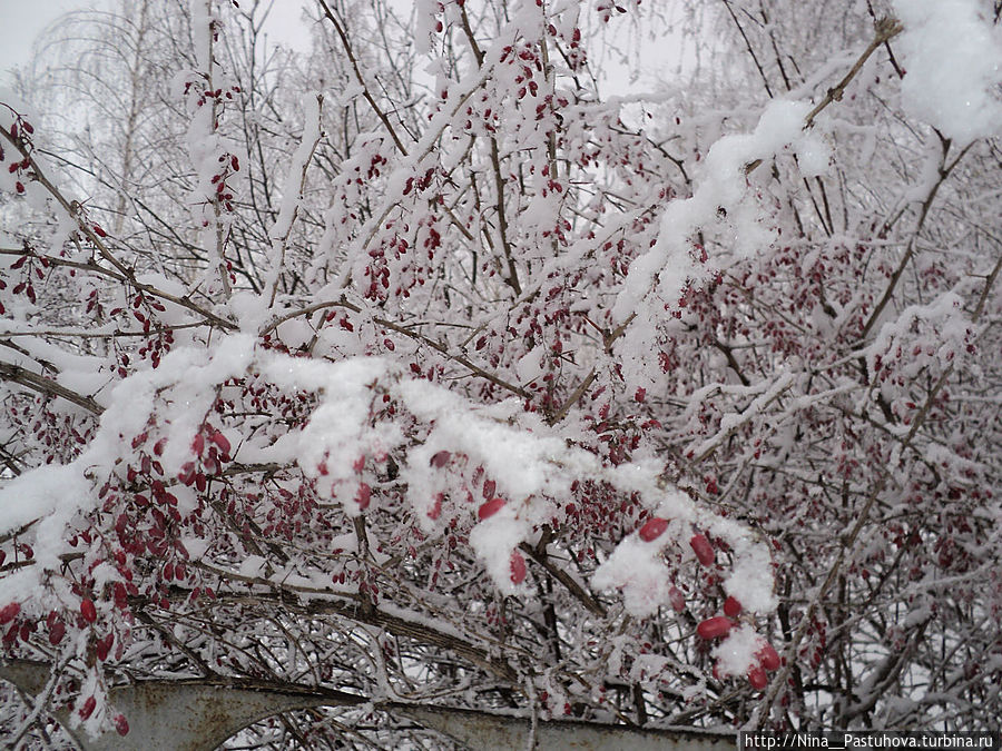 В  зимней  сказке
