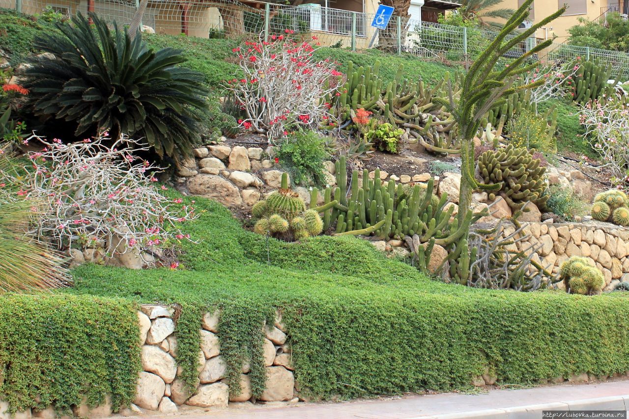 Уникальный Ботанический сад Эйн-Геди Эйн-Геди, Израиль