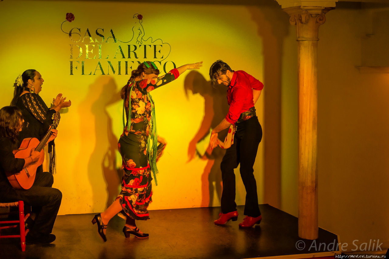 Casa del Arte Flamenco Гранада, Испания