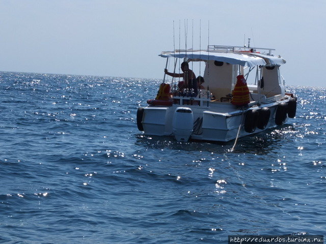 Морская рыбалка в Алуште Алушта, Россия