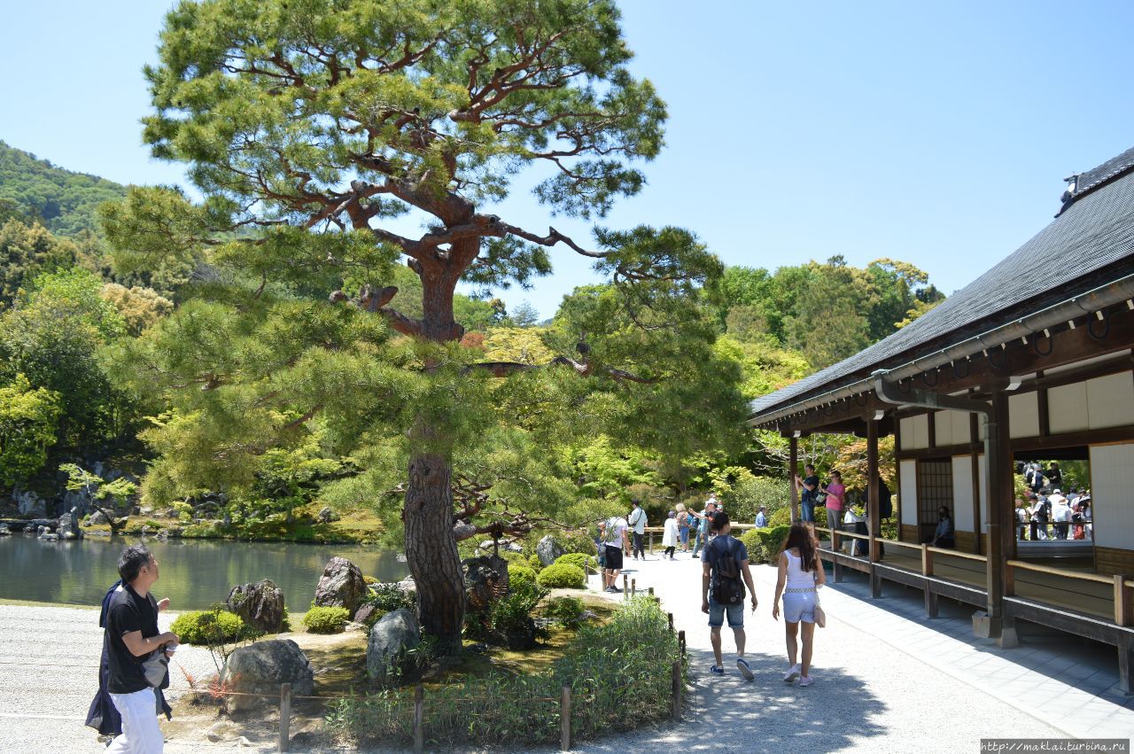 Храм Тэнрю-дзи. Наедине со всеми Киото, Япония