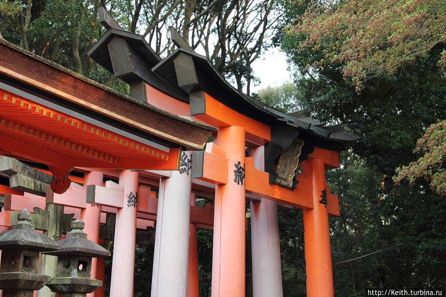 Киото. Fushimi Inari Shrine Киото, Япония