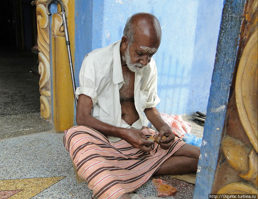 Храмовые ритуалы Тринкомали, или судьбу предсказывает кокос Тринкомали, Шри-Ланка