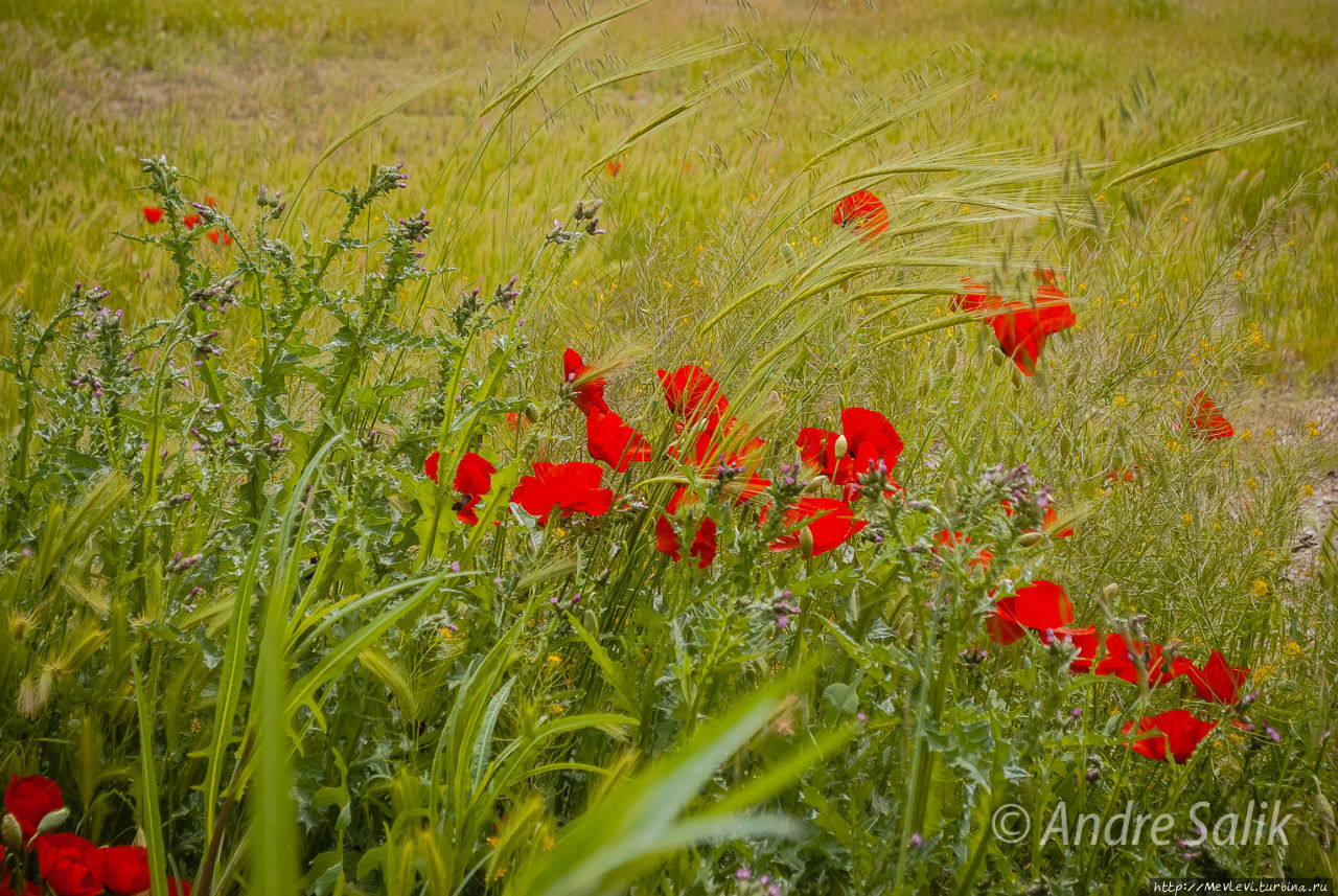 Райское местечко Керманшах, Иран