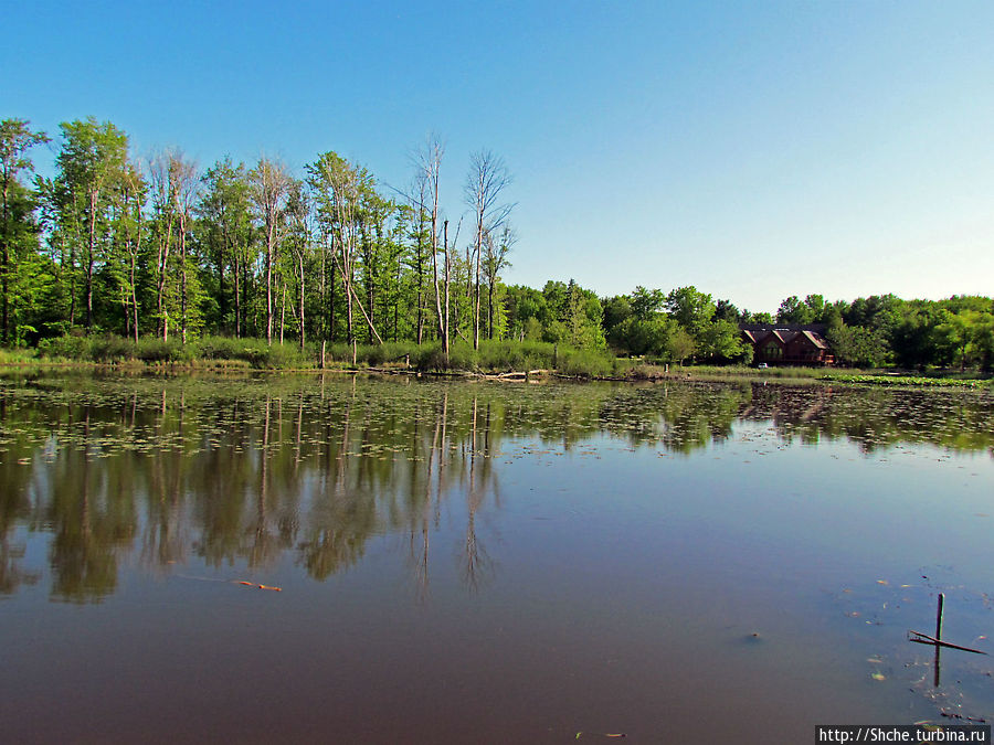 Озеро в парке North Chagrin Reservation под Кливлендом Мейфилд Хайтс, CША