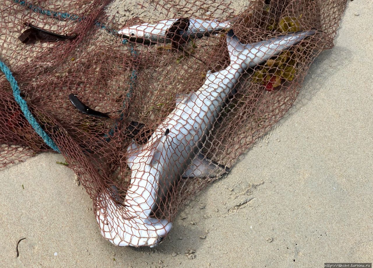 Пляж Бо-Валлон Бo-Валлон, Сейшельские острова Пляж Бо-Валлон Бo-Валлон, Сейшельские острова