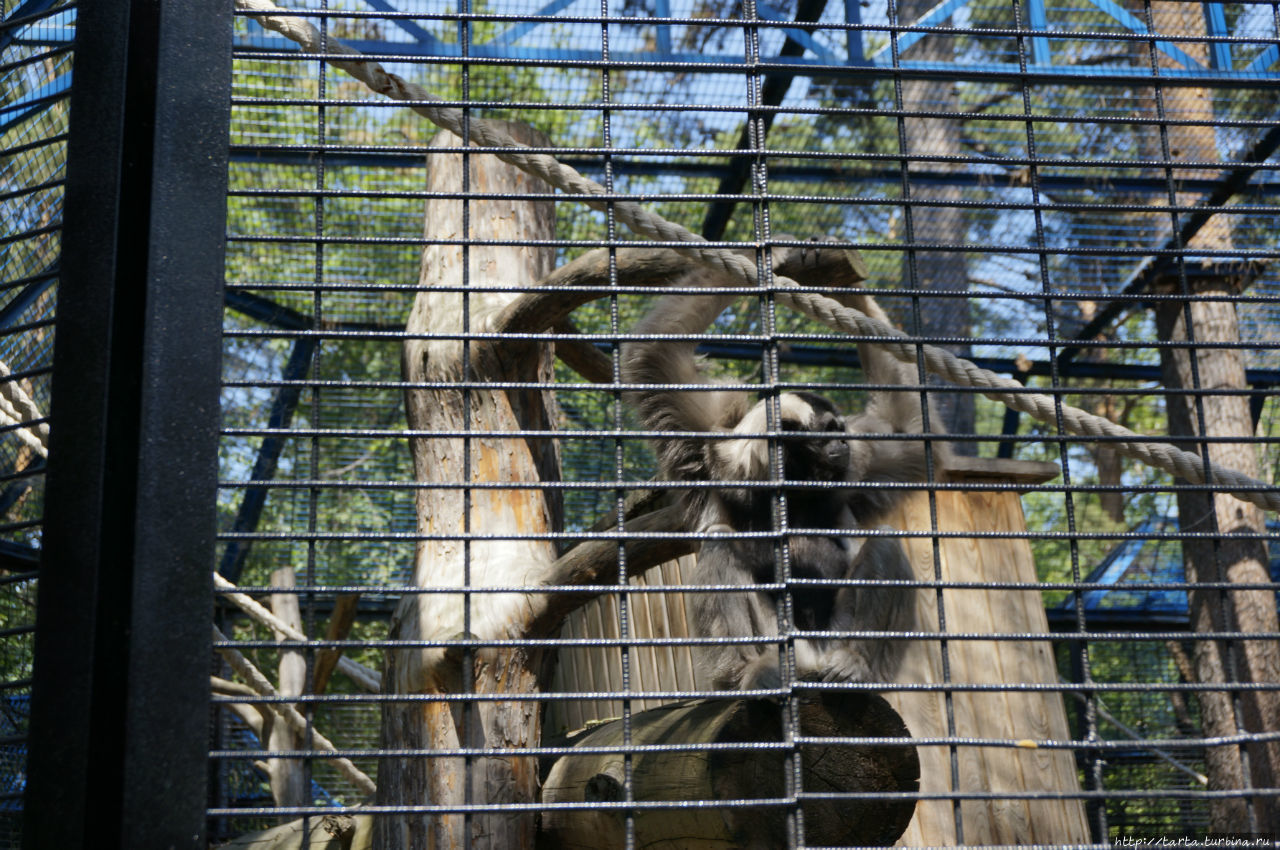 дом отдыха зоопарк