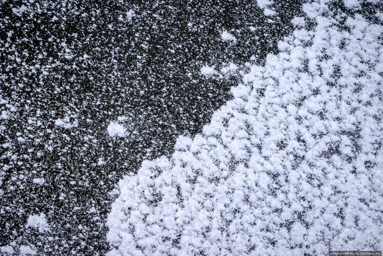 Мороз в парке Аркадия. Рига, Латвия