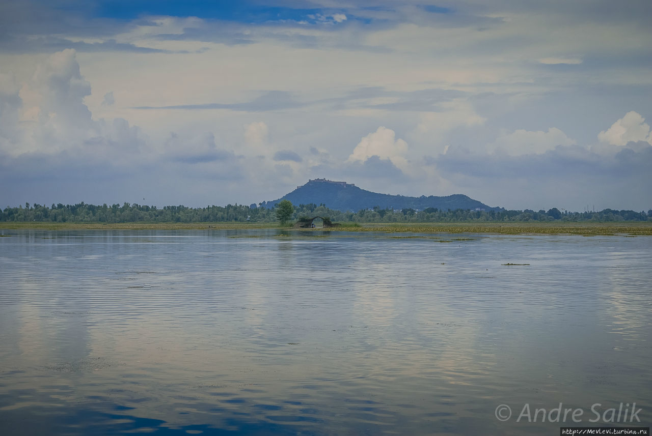 Озеро Дал и его обитатели Шринагар, Индия