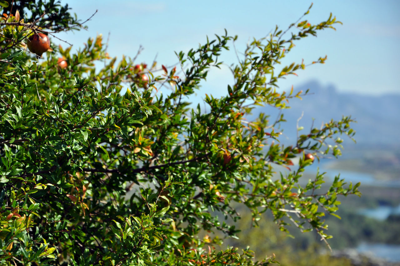 Дорогами Албании 4. Шкодер. Шкодер, Албания