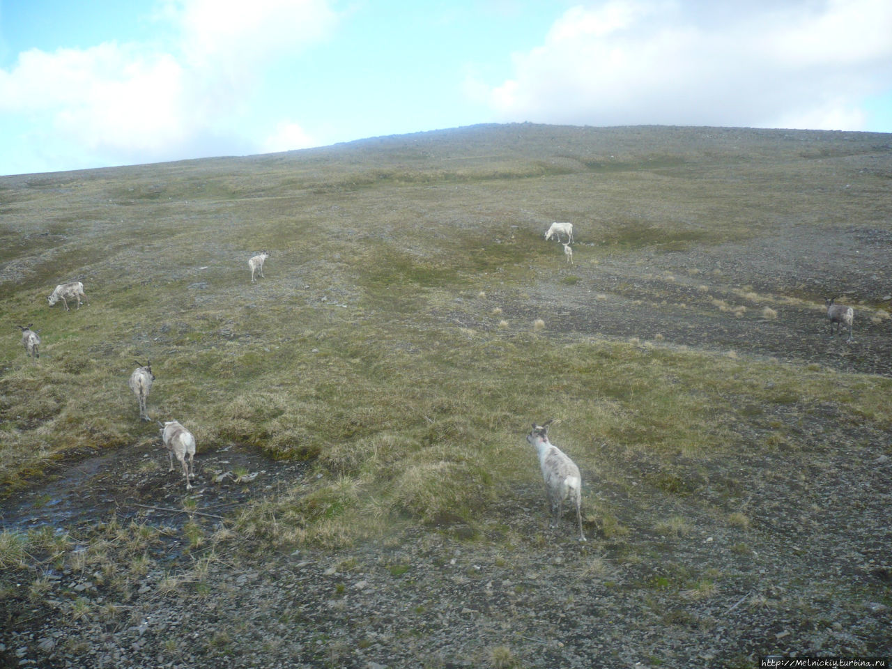 Итоги 2015 Санкт-Петербург, Россия