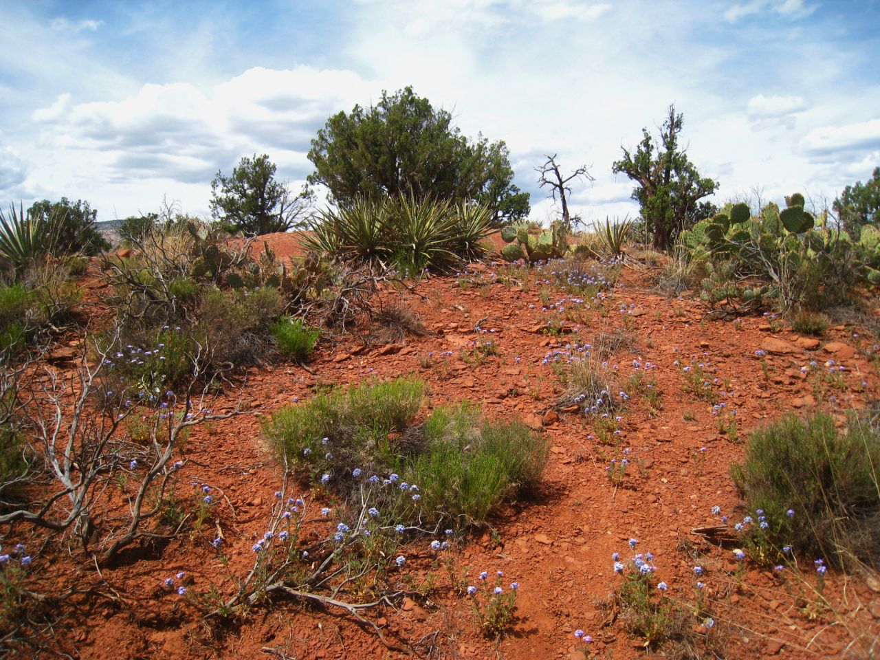Красивые и необычные чудеса природы, Аризона, 7 часть. Седона, CША