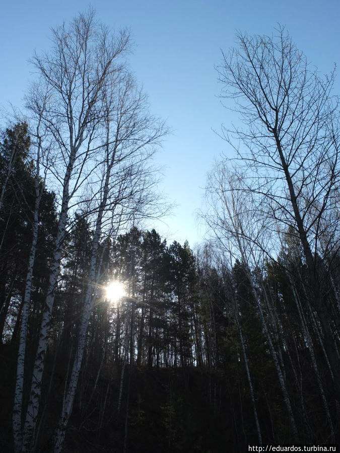 Оттаиваем и зеленеем))) Красноярск, Россия