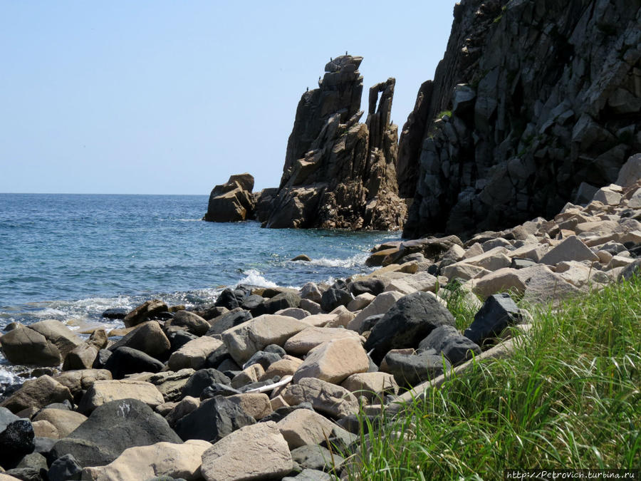 «Поющие» сосны и лазурное море в Морском заповеднике