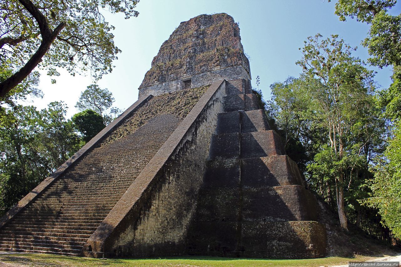 Храм V Тикаль Национальный Парк, Гватемала
