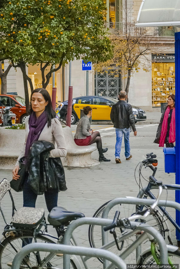 Там, где мандарины растут Барселона, Испания