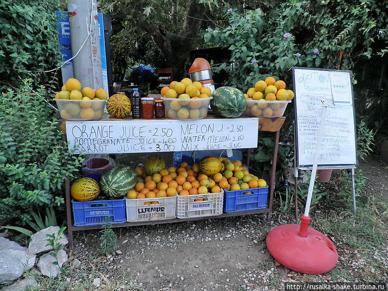 Корявый Чиралы Чиралы, Турция