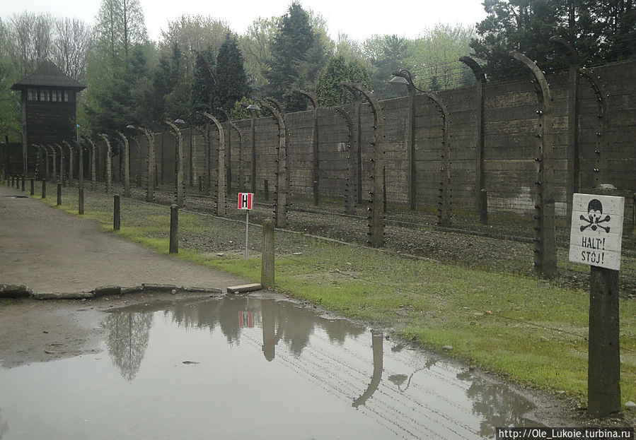 Аушвиц...май  2013 Освенцим, Польша