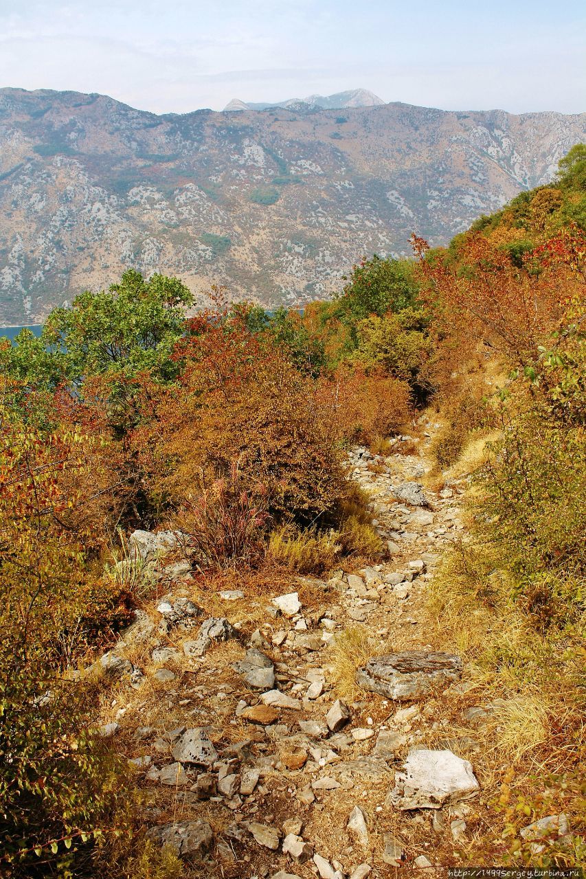 Моё покорение Врмац #6 / Горньи Столив / Затерянный в горах Горньи-Столив, Черногория