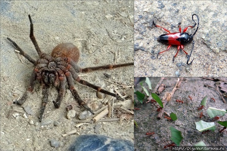 Не внушают они мне довери