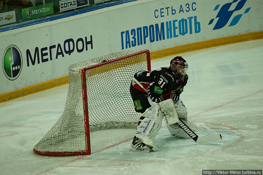 Авангард сильнее Льва Омск, Россия