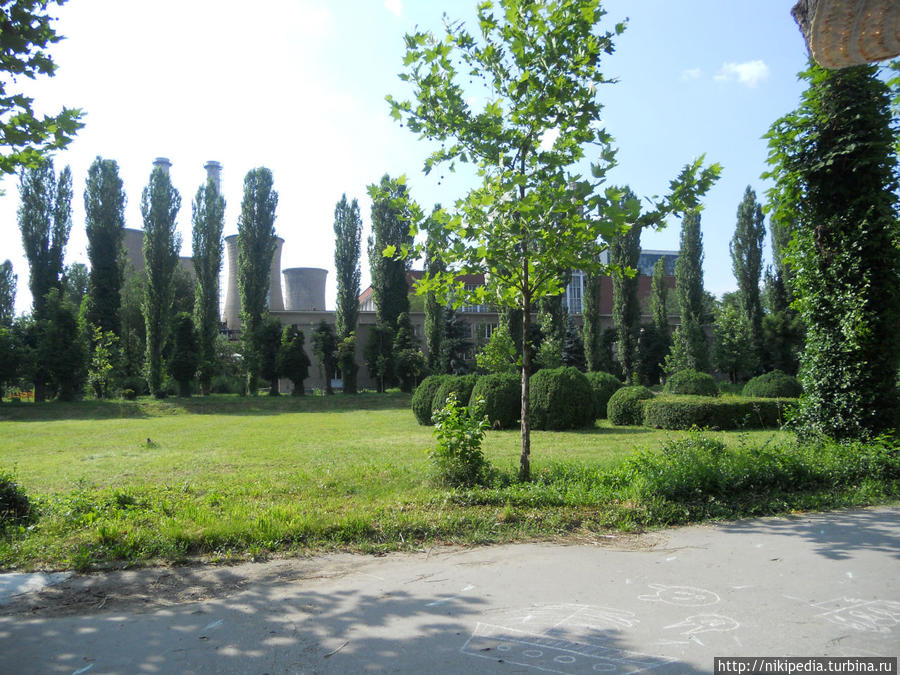 Ботанический сад Румыния