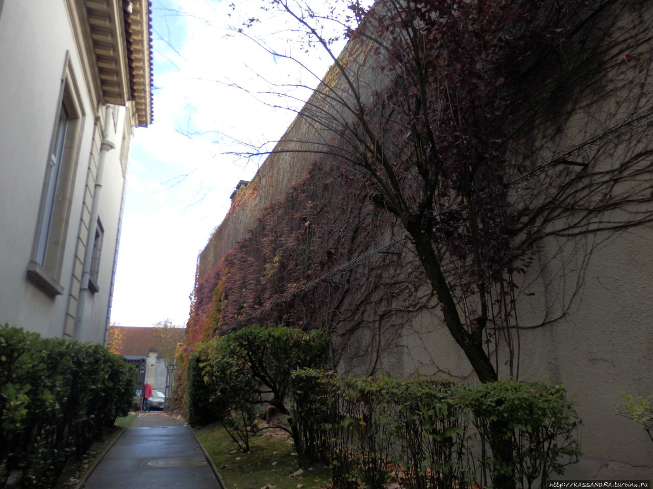 Нотр-Дам для самурая Реймс, Франция