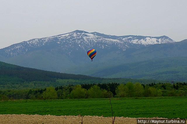 Макушка   лета.  Разнотравье,  разноцветье Южно-Сахалинск, Россия