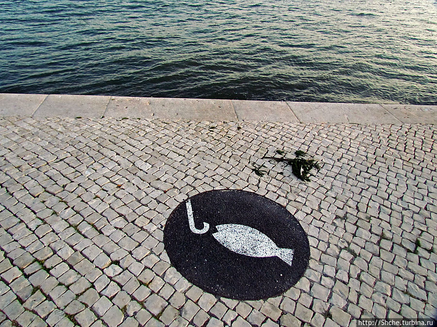 ловля рыба разрешена Лиссабон, Португалия