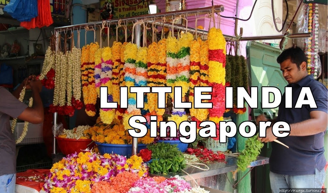 Из интернета